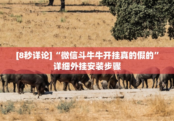 必备科技“杭州十三水辅助器最新版”(曝光透视必备猫腻)