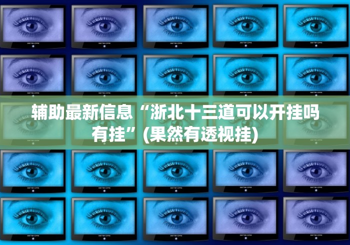 辅助最新信息“浙北十三道可以开挂吗有挂”(果然有透视挂)