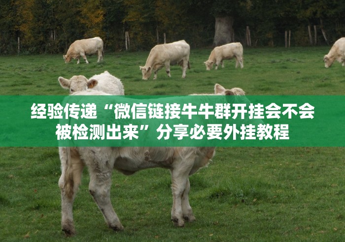 玩家秒懂“湖南长沙16张跑得快是如何算胜率的”(曝光透视必备猫腻)