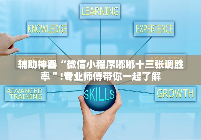 辅助神器“微信小程序嘟嘟十三张调胜率＂!专业师傅带你一起了解