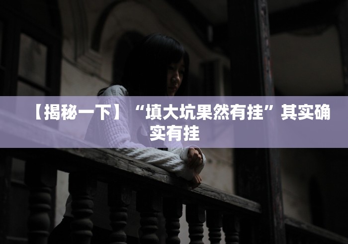 【揭秘一下】“填大坑果然有挂”其实确实有挂