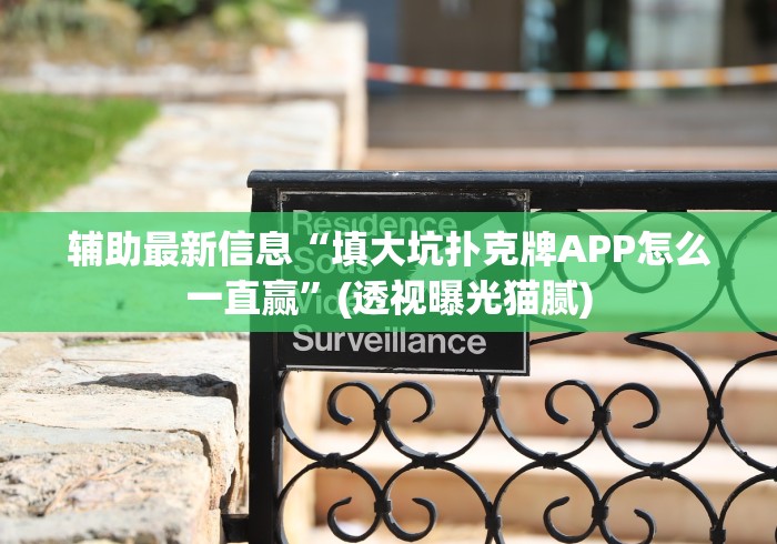 辅助最新信息“填大坑扑克牌APP怎么一直赢”(透视曝光猫腻)