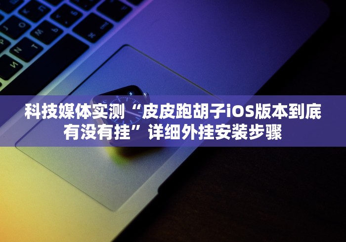科技媒体实测“皮皮跑胡子iOS版本到底有没有挂”详细外挂安装步骤