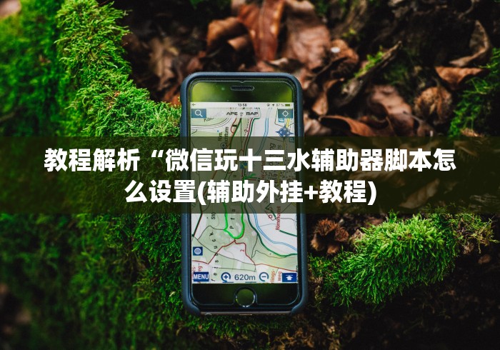 教程解析“微信玩十三水辅助器脚本怎么设置(辅助外挂+教程)