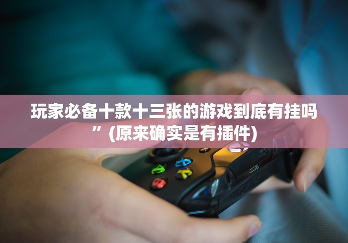 玩家必备十款十三张的游戏到底有挂吗”(原来确实是有插件)