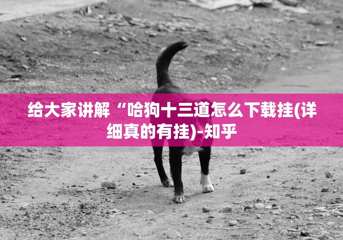 给大家讲解“哈狗十三道怎么下载挂(详细真的有挂)-知乎