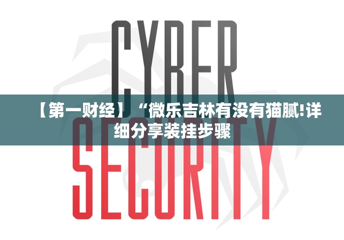 【第一财经】“微乐吉林有没有猫腻!详细分享装挂步骤