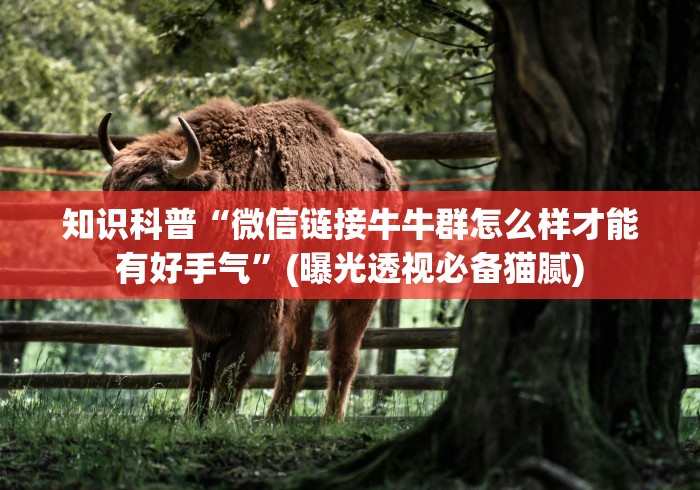 知识科普“微信链接牛牛群怎么样才能有好手气”(曝光透视必备猫腻)