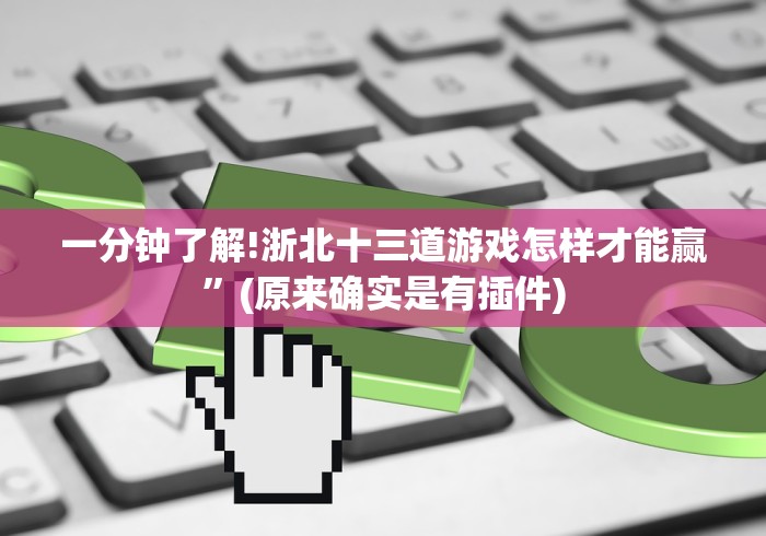 一分钟了解!浙北十三道游戏怎样才能赢”(原来确实是有插件)