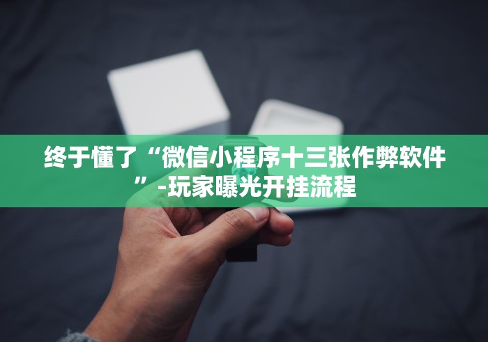 终于懂了“微信小程序十三张作弊软件”-玩家曝光开挂流程