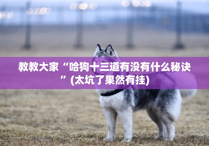 玩家必备“永州同城跑胡子合集是不是有作弊”-玩家曝光开挂流程