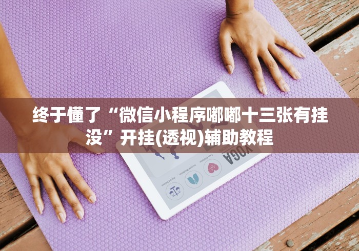 终于懂了“微信小程序嘟嘟十三张有挂没”开挂(透视)辅助教程