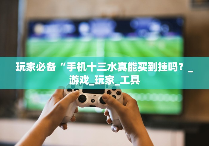 玩家必备“手机十三水真能买到挂吗？_游戏_玩家_工具