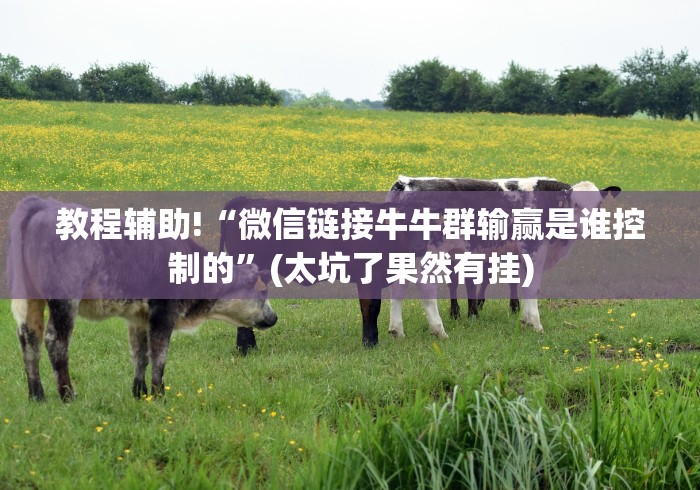 玩家最新攻略“微信链接牌九作弊怎样购买”(详细透视教程)