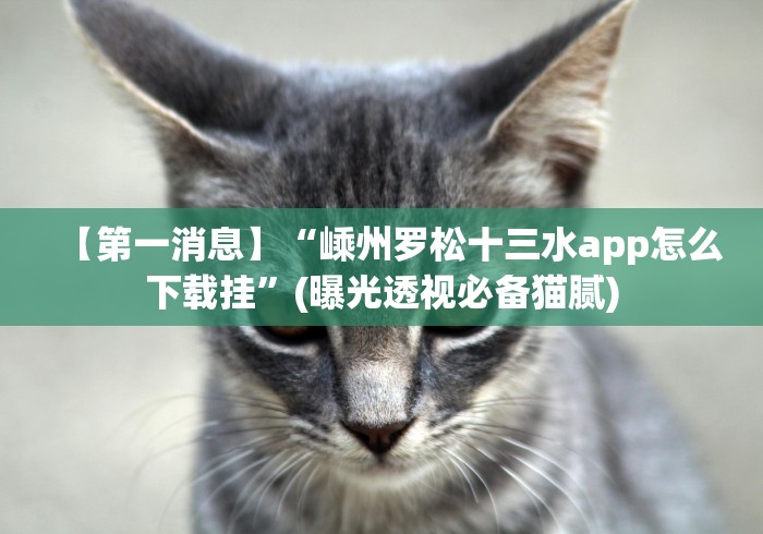 【第一消息】“嵊州罗松十三水app怎么下载挂”(曝光透视必备猫腻)