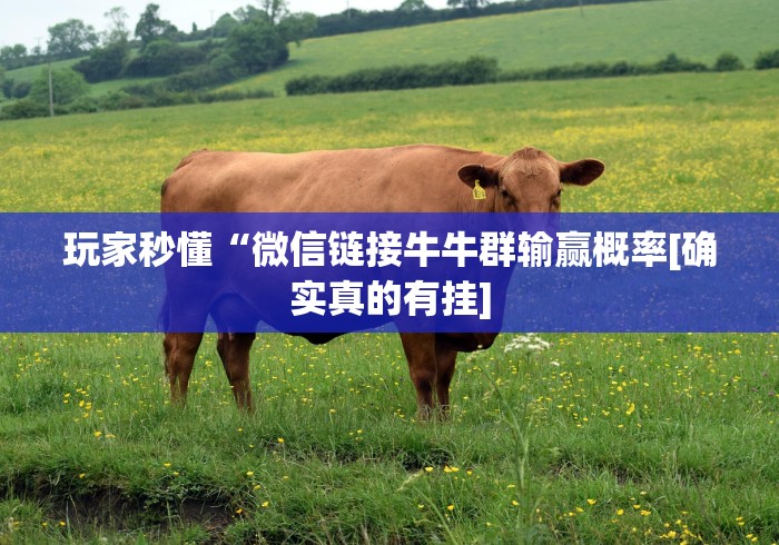 终于懂了“棋牌十三水可以开挂吗苹果”(其实是有挂) 终于懂了“棋牌十三水可以开挂吗苹果”(其实是有挂)