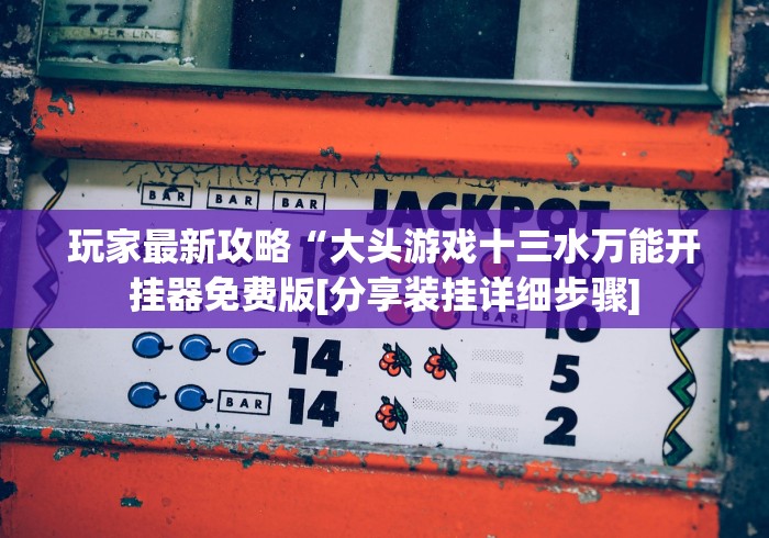玩家最新攻略“大头游戏十三水万能开挂器免费版[分享装挂详细步骤]