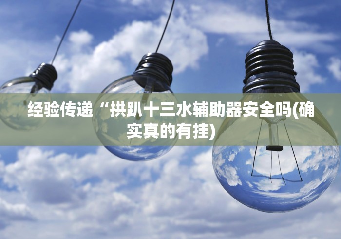 经验传递“拱趴十三水辅助器安全吗(确实真的有挂)