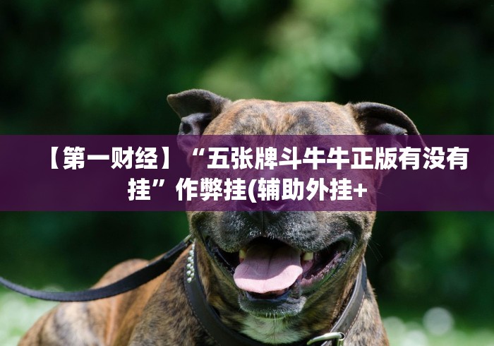 【第一财经】“五张牌斗牛牛正版有没有挂”作弊挂(辅助外挂+