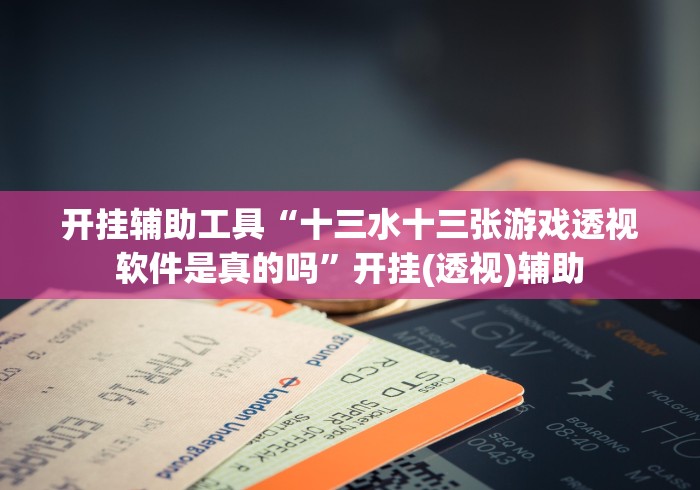 开挂辅助工具“十三水十三张游戏透视软件是真的吗”开挂(透视)辅助