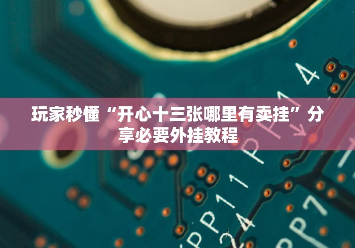 玩家秒懂“开心十三张哪里有卖挂”分享必要外挂教程