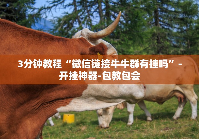 3分钟教程“微信链接牛牛群有挂吗”-开挂神器-包教包会