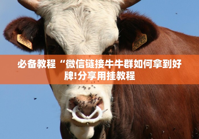 科技媒体实测“莫莫娱乐棋牌当真可以开挂”(原来确实是有挂)