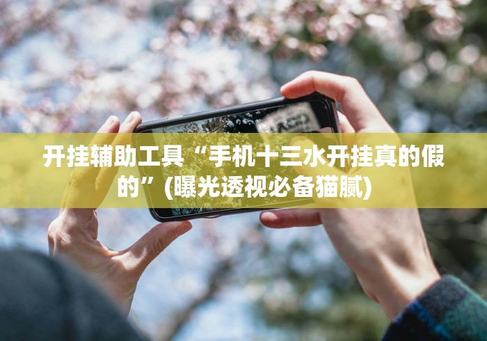 开挂辅助工具“手机十三水开挂真的假的”(曝光透视必备猫腻)