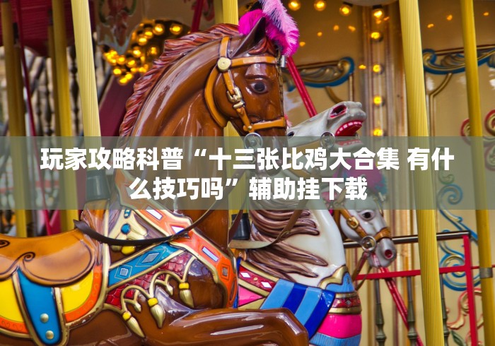 玩家攻略科普“十三张比鸡大合集 有什么技巧吗”辅助挂下载
