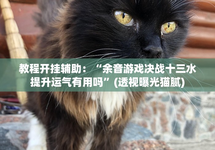 教程开挂辅助：“余音游戏决战十三水提升运气有用吗”(透视曝光猫腻)