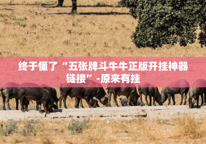 终于懂了“五张牌斗牛牛正版开挂神器链接”-原来有挂