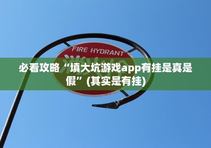 必看攻略“填大坑游戏app有挂是真是假”(其实是有挂)
