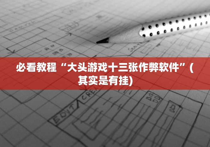 必看教程“大头游戏十三张作弊软件”(其实是有挂)