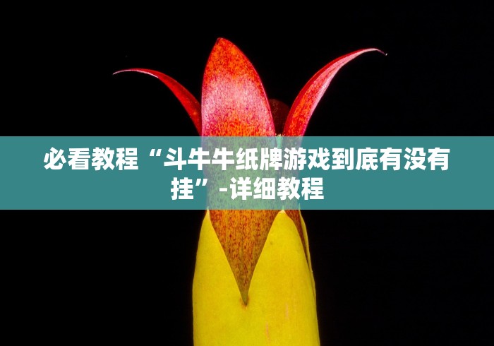 必看教程“斗牛牛纸牌游戏到底有没有挂”-详细教程