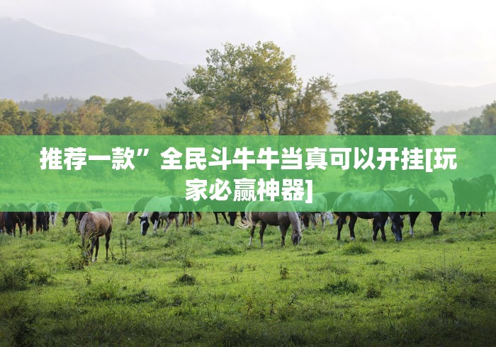 推荐一款”全民斗牛牛当真可以开挂[玩家必赢神器]