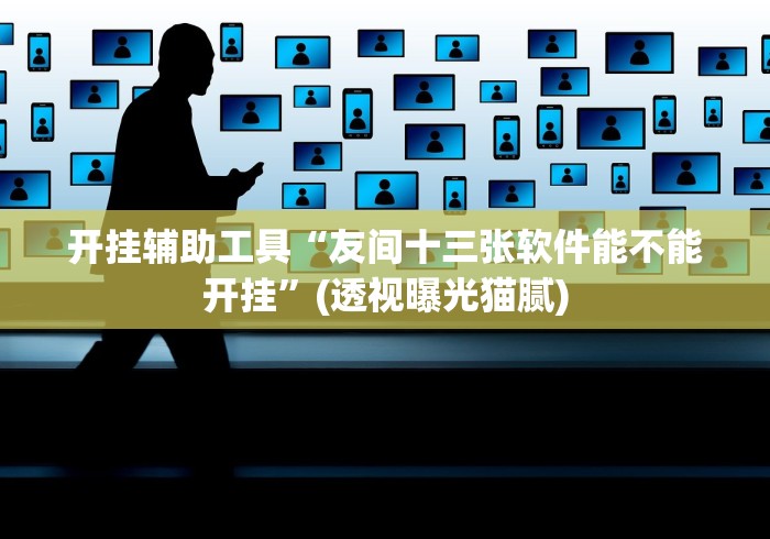开挂辅助工具“友间十三张软件能不能开挂”(透视曝光猫腻)