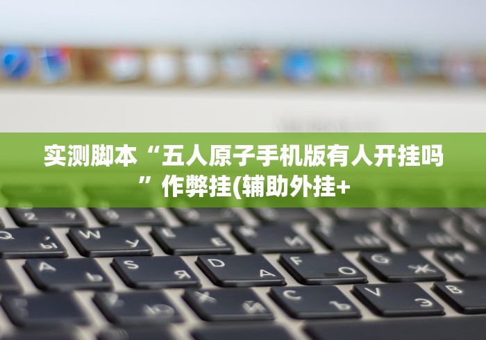 实测脚本“五人原子手机版有人开挂吗”作弊挂(辅助外挂+