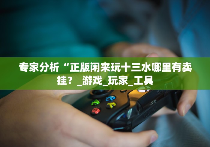 专家分析“正版闲来玩十三水哪里有卖挂？_游戏_玩家_工具