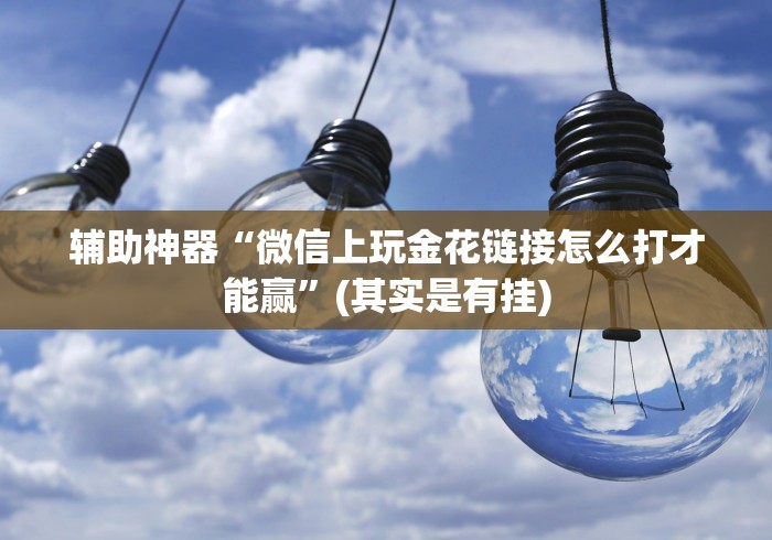 辅助神器“微信上玩金花链接怎么打才能赢”(其实是有挂)