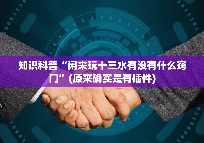 知识科普“闲来玩十三水有没有什么窍门”(原来确实是有插件)