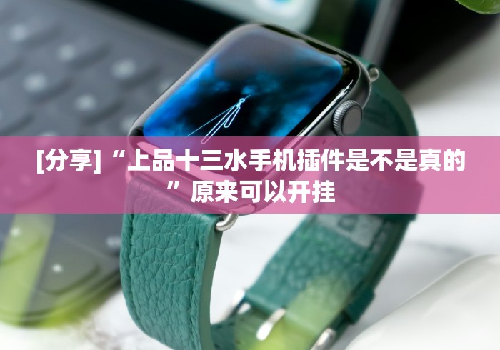 [分享]“上品十三水手机插件是不是真的”原来可以开挂