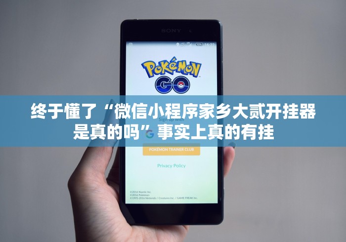 终于懂了“微信小程序家乡大贰开挂器是真的吗”事实上真的有挂