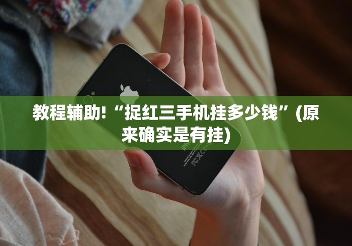 教程辅助!“捉红三手机挂多少钱”(原来确实是有挂)