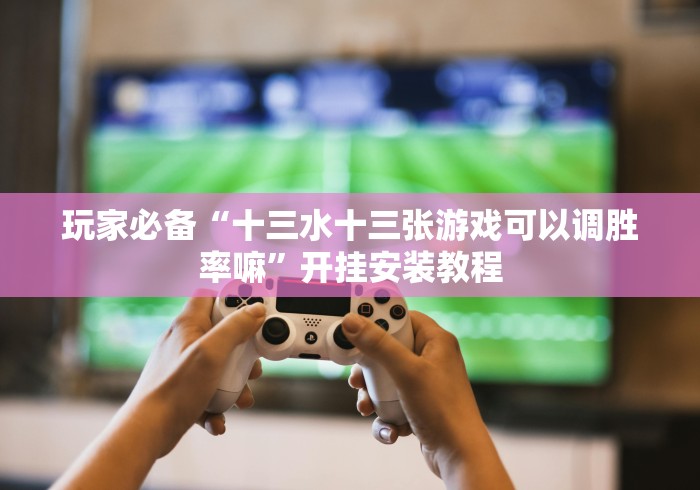 玩家必备“十三水十三张游戏可以调胜率嘛”开挂安装教程