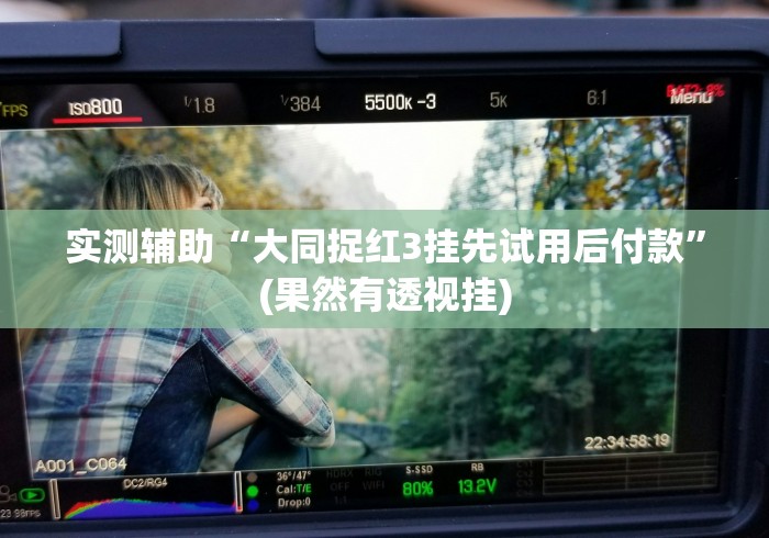 实测辅助“大同捉红3挂先试用后付款”(果然有透视挂)