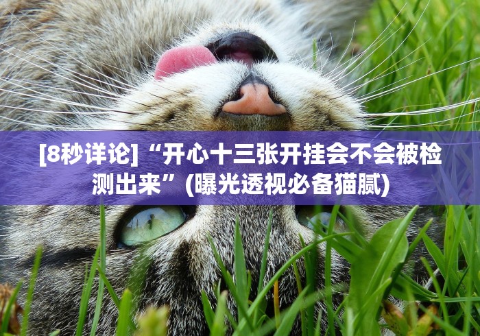 [8秒详论]“开心十三张开挂会不会被检测出来”(曝光透视必备猫腻)