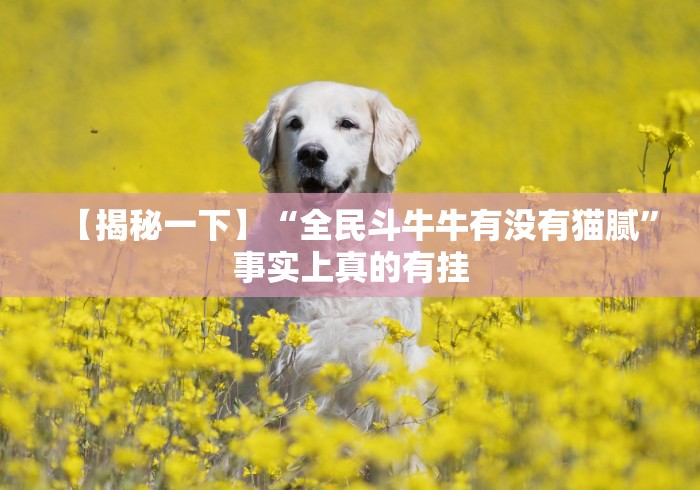 【揭秘一下】“全民斗牛牛有没有猫腻”事实上真的有挂