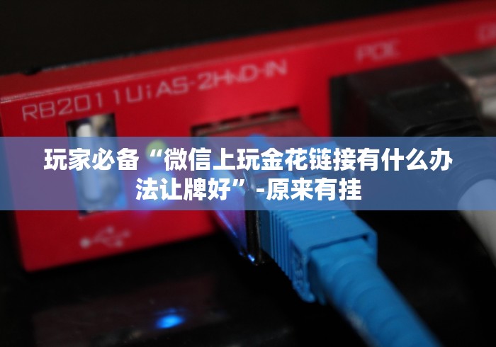 玩家必备“微信上玩金花链接有什么办法让牌好”-原来有挂