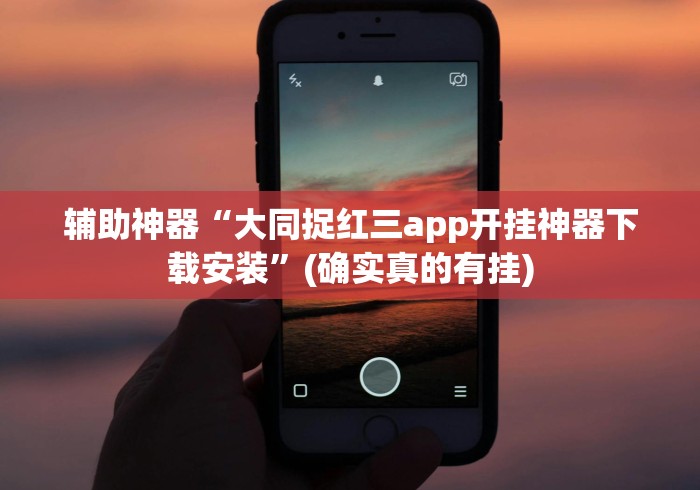 辅助神器“大同捉红三app开挂神器下载安装”(确实真的有挂)