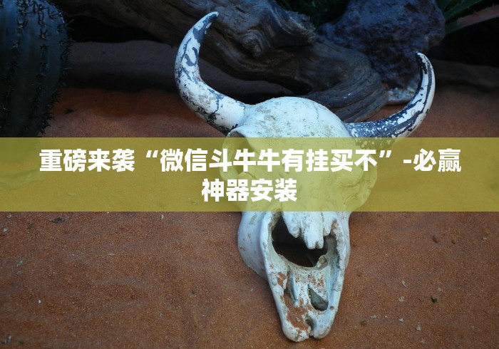 重磅来袭“微信斗牛牛有挂买不”-必赢神器安装